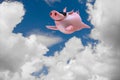 Funny flying piggies. Sky divers