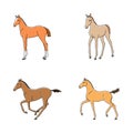 Funny foals in different poses. Vector modern simple isolated set