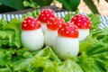 Funny food - boiled egg, cover with a tomato with mayonnaise points