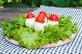 Funny food - boiled egg, cover with a tomato with mayonnaise points