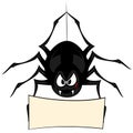 Funny freaky spider