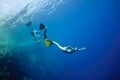 Funny freediving games at the Red Sea Royalty Free Stock Photo