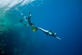 Funny freediving games at the Red Sea Royalty Free Stock Photo