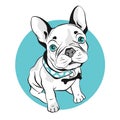 Funny french bulldog character. Perfect for t-shirt, poster, card, print design, nursery decoration. Vector Illustration EPS 10