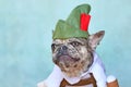French Bulldog dog dressed up with funny traditional Bavarian `Oktoberfest` costume with Lederhosen pants and tirol hat Royalty Free Stock Photo
