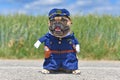 Funny French Bulldog dog in police officer costume with fake arms Royalty Free Stock Photo