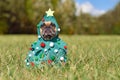 French Bulldog dog wearing funny Christmas tree costume with baubles and stars sitting on grass