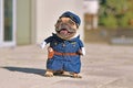 Funny French Bulldog dog wearing funny police officer uniform costumes Royalty Free Stock Photo