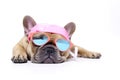 funny french bulldog in sunglasses on white background