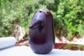 Funny fresh natural organic vegetable eggplant with long nose