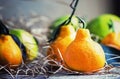 Funny fresh tangerines in the shape of pears on a vintage backgr