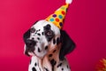 Friendly and cute Dalmatian wearing a birthday party hat in studio, on a vibrant, colorful background. Generative AI