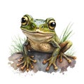 Funny friendly welcoming frog for kids and youngsters, a watercolor styled. T-shirt graphics