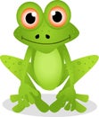 Funny frog cartoon