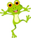Funny frog cartoon for you design Royalty Free Stock Photo