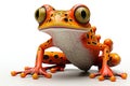 funny frog isolated on white background Royalty Free Stock Photo