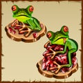 Funny frog picture on a pile of precious stones