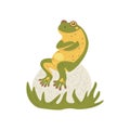 Funny frog sits on a stone. Vector hand drawn