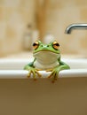 Funny frog sitting in the bath Royalty Free Stock Photo