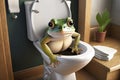 Funny frog sitting on a toilet seat in the bathroom Royalty Free Stock Photo