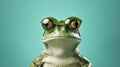 Funny frog in sunglasses in trendy style on yellow background. Portrait summer. Pet care, generated AI