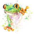 Funny frog T-shirt graphics. frog illustration with splash watercolor textured background. unusual illustration watercolor frog fa Royalty Free Stock Photo