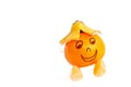 Funny fruit mascot