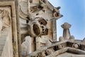 Gargoyle on Notre-Dame facade