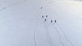 Funny gentoo penguin walk snow land aerial back Royalty Free Stock Photo