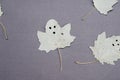 Funny ghosts drawn on the leaves of a poplar tree