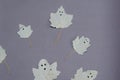 Funny ghosts drawn on the leaves of a poplar tree