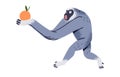 Funny gibbon carrying orange. Emotional monkey with fruit in hand. Shocked primate running with open mouth. Surprised