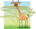 Funny Giraffe in Africa