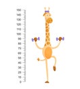 Funny giraffe. Cheerful funny giraffe with long neck. Giraffe meter wall or height chart or wall sticker. Illustration