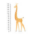 Funny giraffe. Cheerful funny giraffe with long neck. Giraffe meter wall or height chart or wall sticker. Illustration