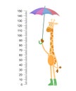 Funny giraffe. Cheerful funny giraffe with long neck. Giraffe meter wall or height chart or wall sticker. Illustration Royalty Free Stock Photo