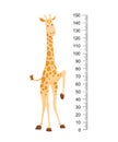 Funny giraffe. Cheerful funny giraffe with long neck. Giraffe meter wall or height chart or wall sticker. Illustration Royalty Free Stock Photo