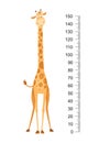 Funny giraffe. Cheerful funny giraffe with long neck. Giraffe meter wall or height chart or wall sticker. Illustration Royalty Free Stock Photo