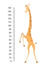 Funny giraffe. Cheerful funny giraffe with long neck. Giraffe meter wall or height chart or wall sticker. Illustration Royalty Free Stock Photo