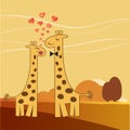 Funny giraffe couple in love Royalty Free Stock Photo