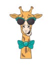 Funny giraffe with sunglasses cool style