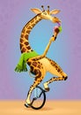 Funny giraffe on an unicycle