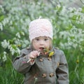 Funny girl with Down syndrome in the mouth pulls dandelions Royalty Free Stock Photo