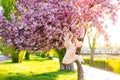 Funny girl jumping in pink cherry blossom park. Holiday with girl in sakura. Girl and Sakura. Beautiful young woman