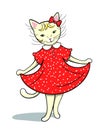 Funny girl kitty in red dress. Cute smiling she white kitten. Beauty pretty cat. Kids style vector cartoon comics art. Royalty Free Stock Photo