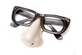 Funny glasses novelty disguise Royalty Free Stock Photo