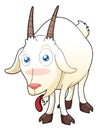 Funny goat Royalty Free Stock Photo
