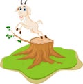 Funny goat cartoon on tree stump Royalty Free Stock Photo