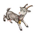 funny goat, the heroine of the fairy tale \