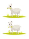 Funny goat set. Vector illustration Royalty Free Stock Photo